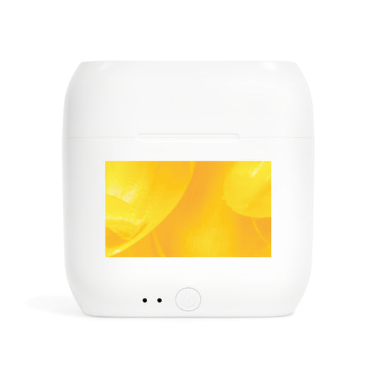 Wireless Earbuds – Sunlit Splash