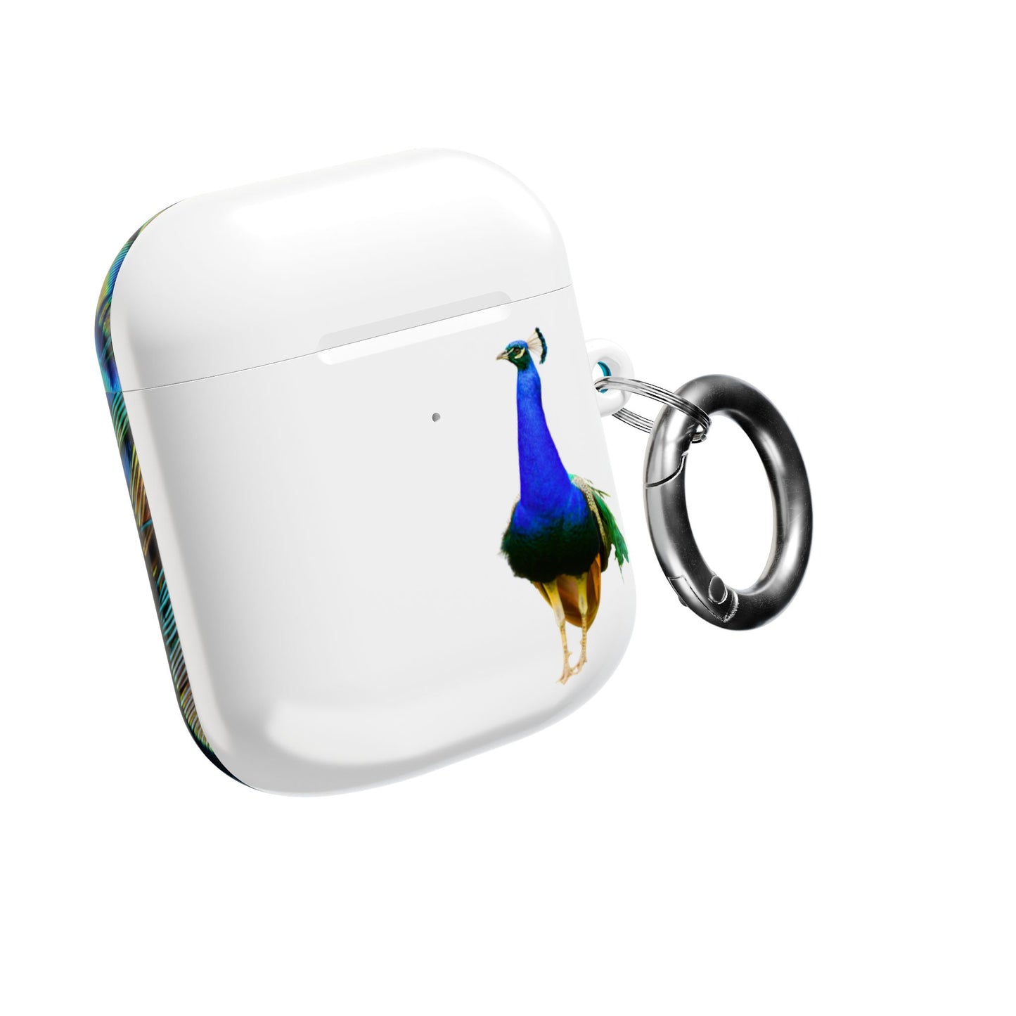 Earbud Case Cover – Peacock Power
