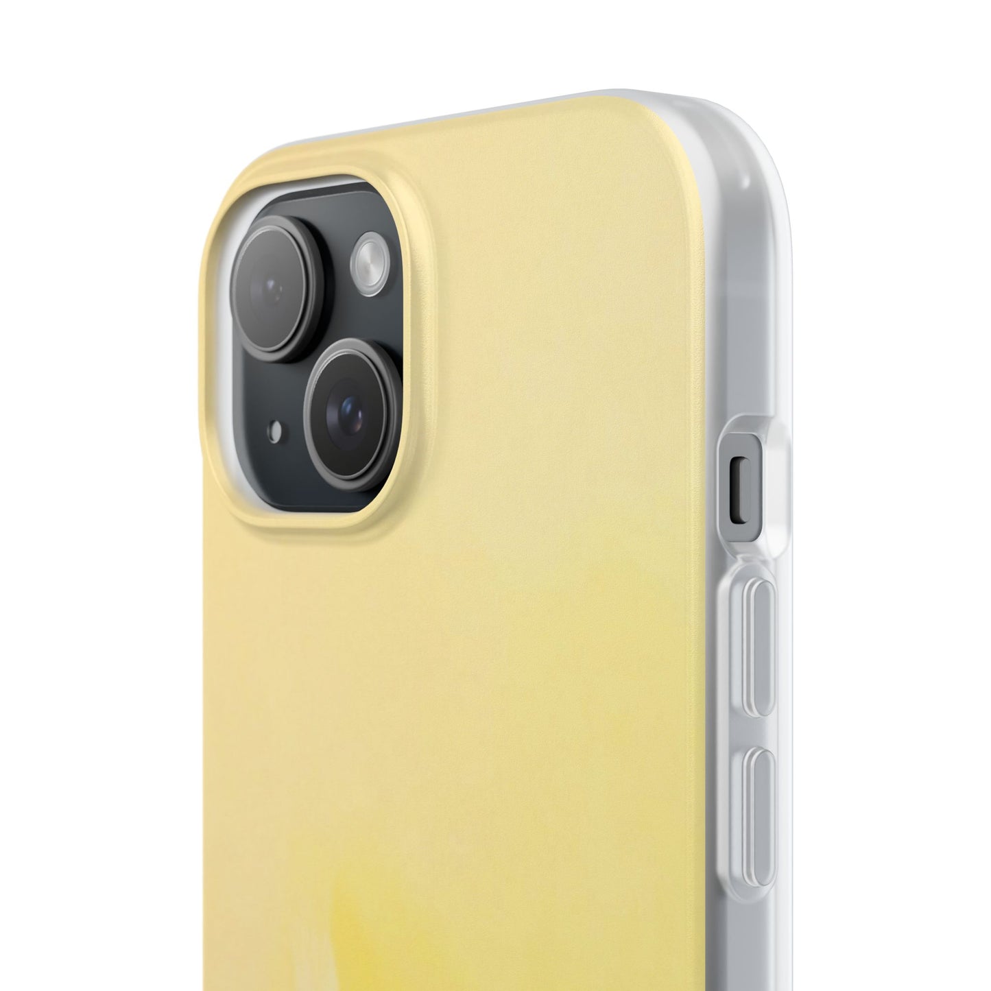 Flexi Case – Sunwash