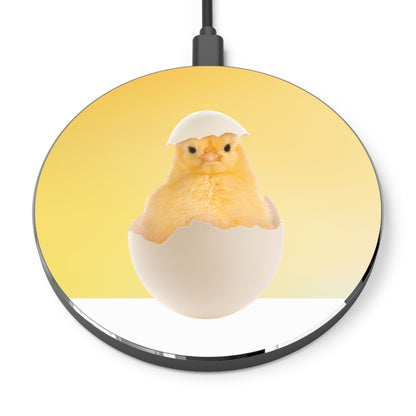 Wireless Charger – Chirp Crew
