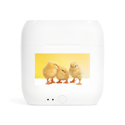Wireless Earbuds – Chirp Crew
