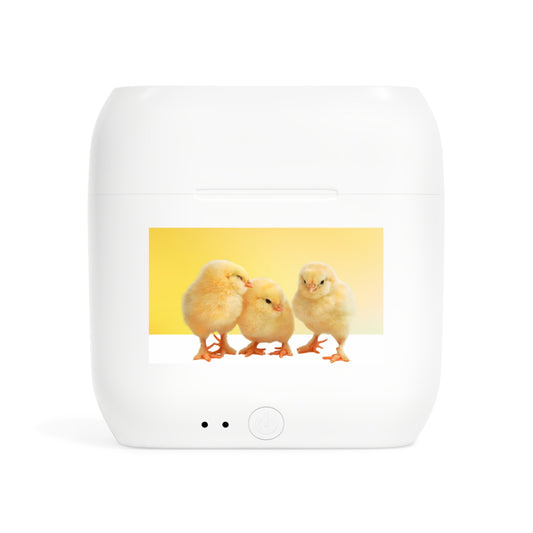 Wireless Earbuds – Chirp Crew