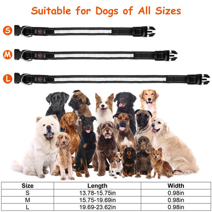 Light-Up LED Dog Collar – 9 Color Modes, IPX7 Waterproof, USB Rechargeable Safety Glow Collar for Small Medium Large Dogs