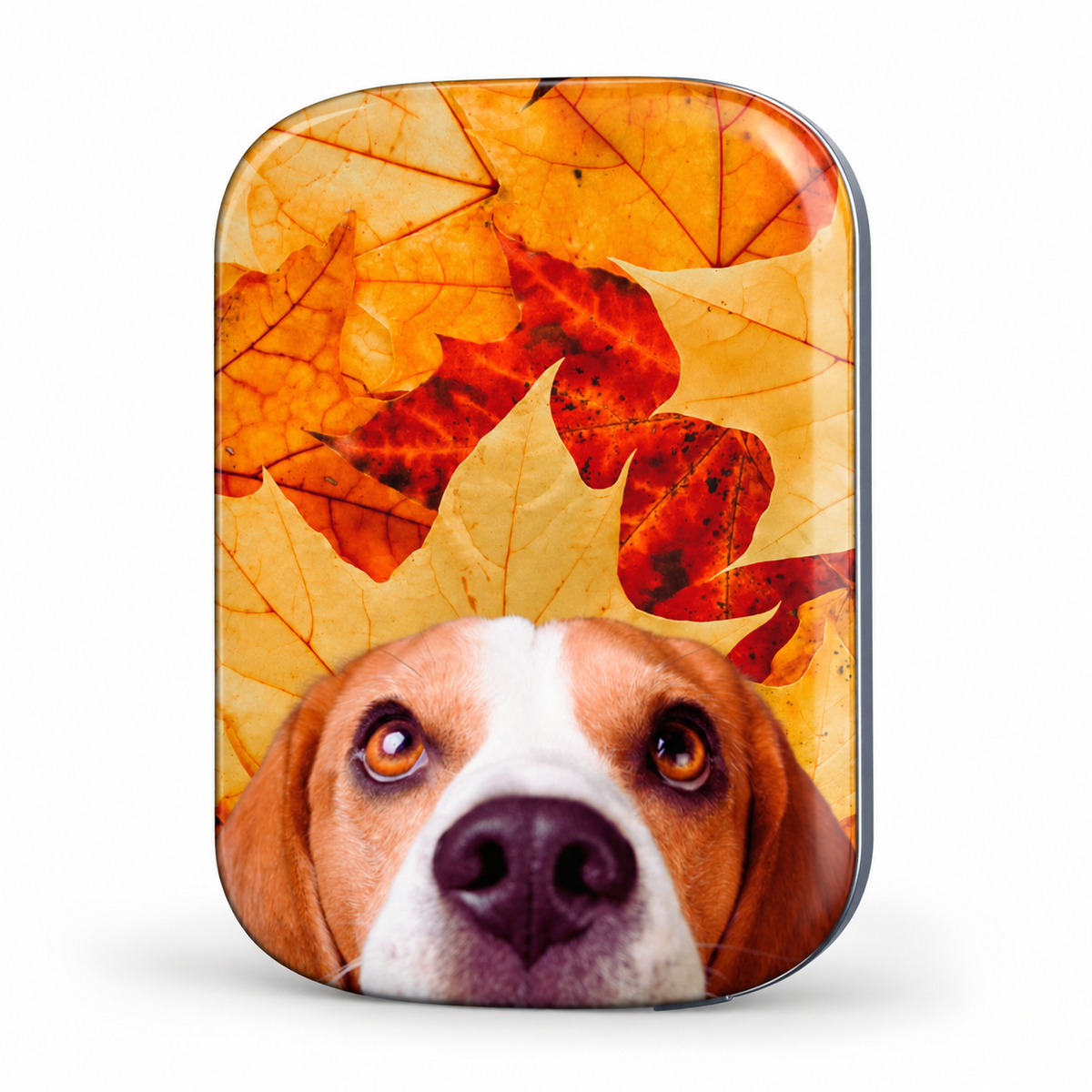 Magnetic Power Bank – Leaf Me Alone