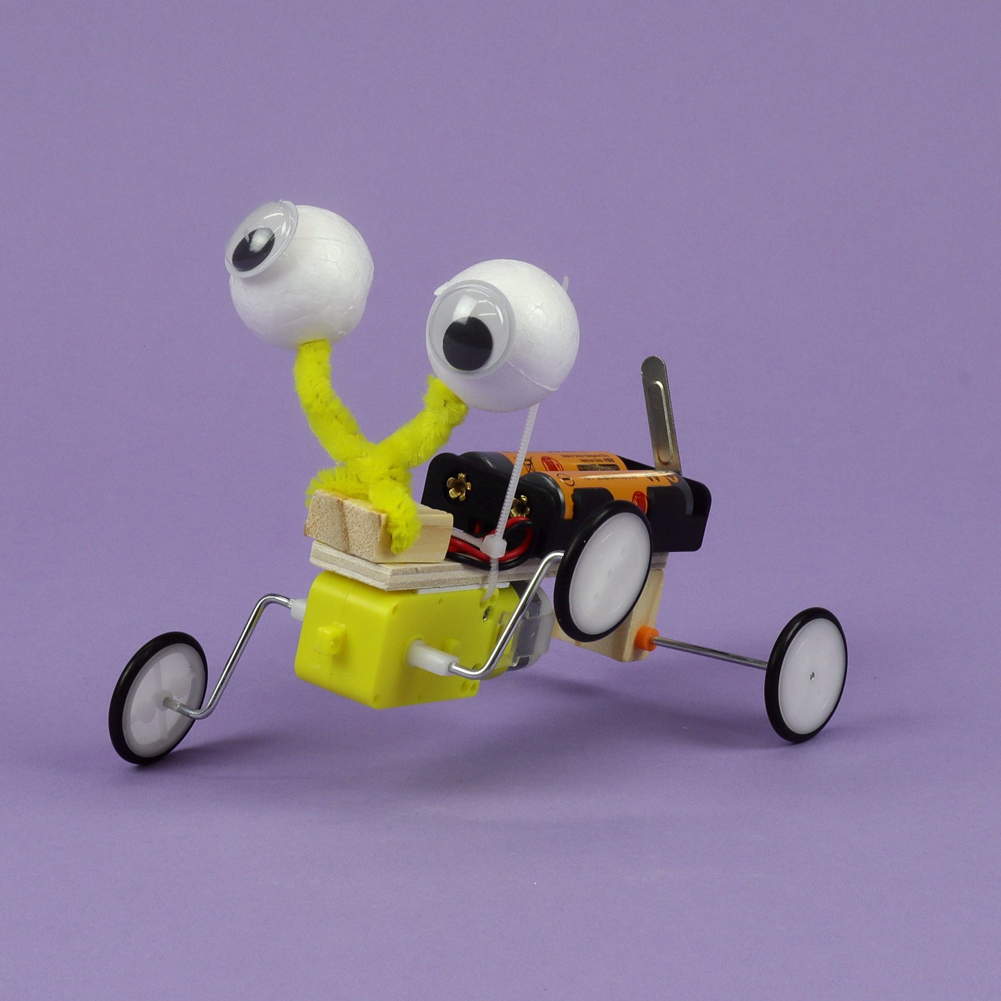 Bug Robot DIY Kit - Educational STEM Learning Toy