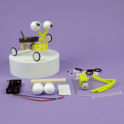 Bug Robot DIY Kit - Educational STEM Learning Toy