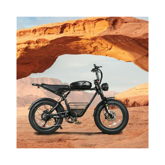 Powerful 1000W Fat Tire E-bike