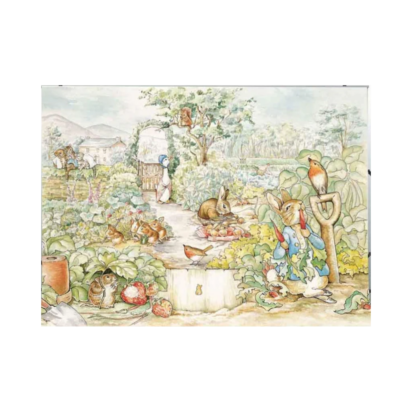 Storybook Photography Backdrop - Professional Event Background