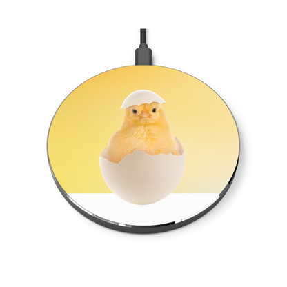 Wireless Charger – Chirp Crew