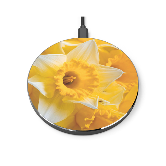 Wireless Charger – Daffodil Daylight