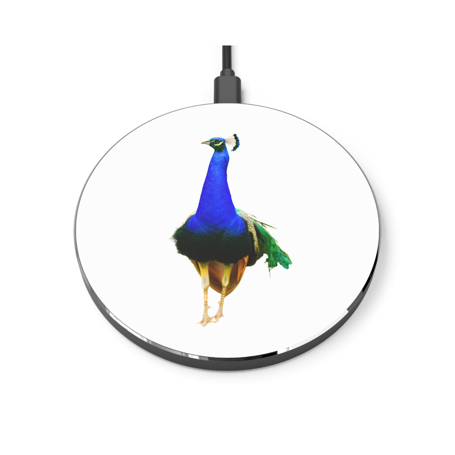 Wireless Charger – Peacock Power