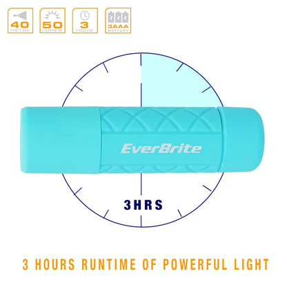 18-Pack Mini LED Flashlight Set, Handheld Torches for Kids, Suitable for Camping, Party, Backpacking, Lanyard & 54 AAA Batteries Included