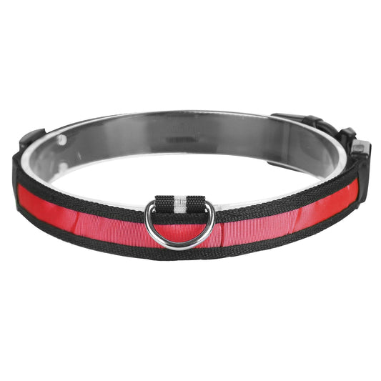 GBruno LED Dog Collar – USB Rechargeable Light-Up Safety Collar, 328 ft Visibility, 3 Light Modes, Sizes S M L, Multiple Colors
