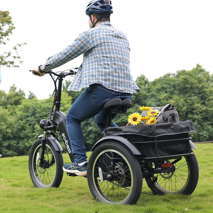 Triker Folding 3 Wheels Electric Bike