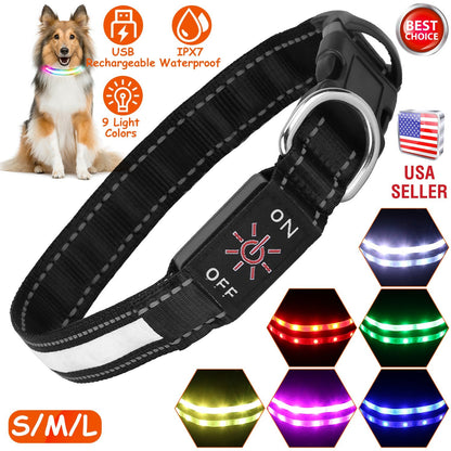 Light-Up LED Dog Collar – 9 Color Modes, IPX7 Waterproof, USB Rechargeable Safety Glow Collar for Small Medium Large Dogs