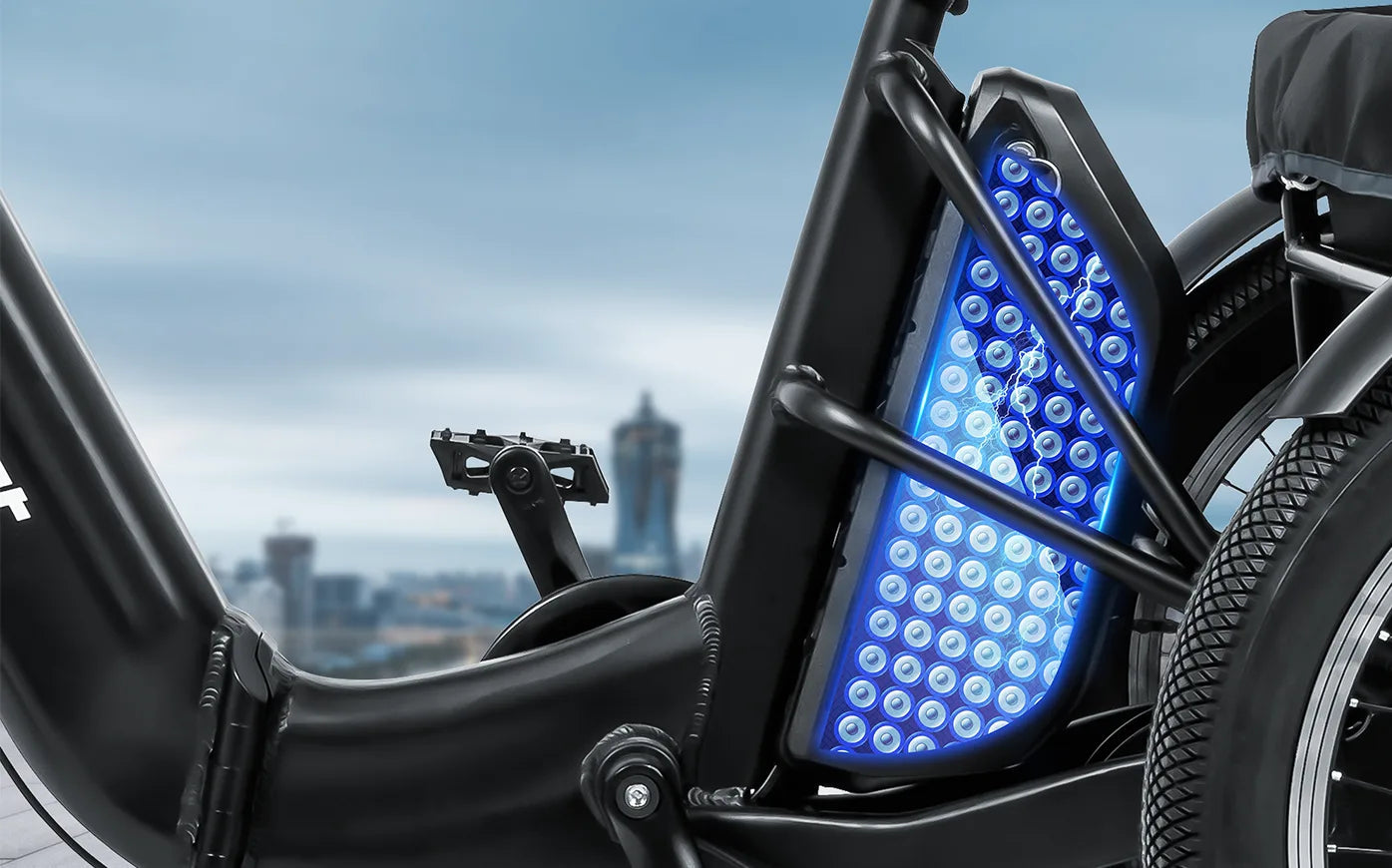 Triker Folding 3 Wheels Electric Bike