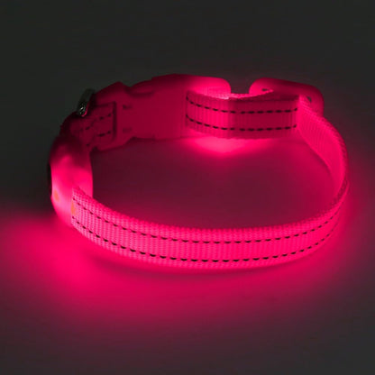Light up Dog Collar, Rechargeable LED Dog Collar Glow in the Dark Cat Collar Reflective Puppy Collar Safety Dog Lights for Night Walking (Pink, XS)