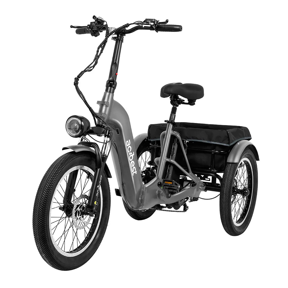 Triker Folding 3 Wheels Electric Bike