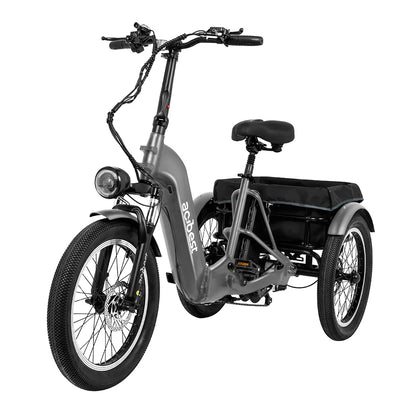 Triker Folding 3 Wheels Electric Bike