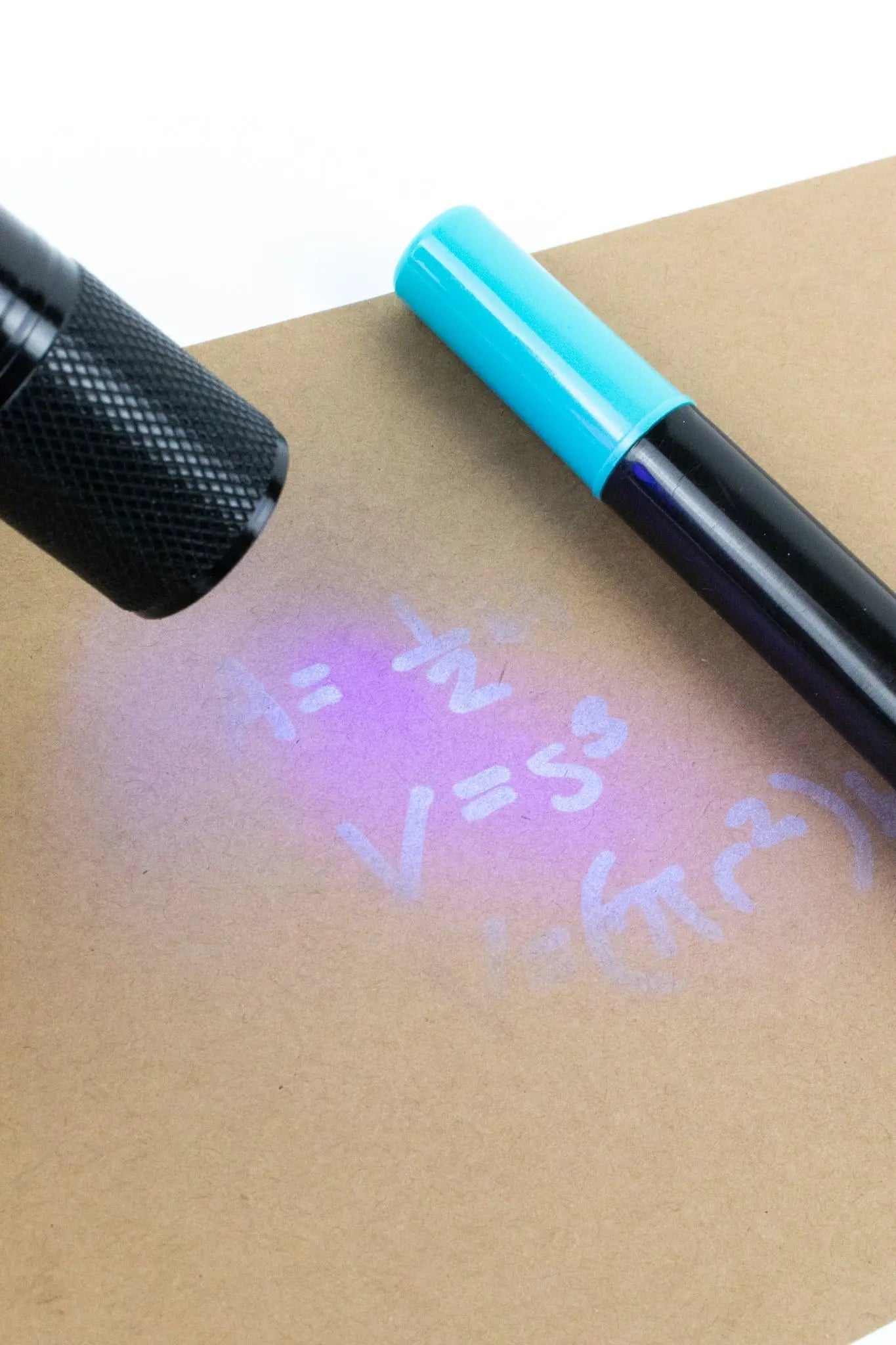 LED UV Blacklight Flashlight - Professional Ultraviolet Detection Light